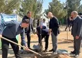 آغاز فاز اول طرح توسعه جنگلکاری اراضی آرادکوه