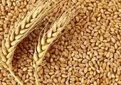 تحقق 50 درصدی پرتفوی ابلاغی صندوق بیمه کشاورزی در پنج ماهه ابتدای سال زراعی جاری
