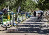 بیش از ۲۵۰ هزار متر مربع فضای سبز در پردیسان توسعه پیدا کرد