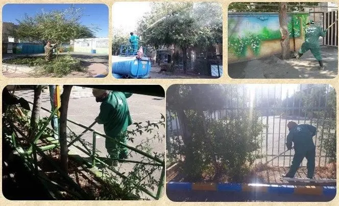 بازپیرایی فضای سبز مدارس جنوبشرق تهران

