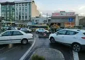تحویل نهال درب منازل شهروندان با اجرای پویش درختکاری