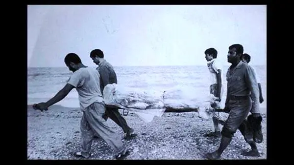 پرواز ناتمام شماره ۶۵۵