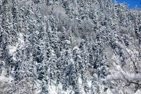 هشدار نسبت به بارش برف و باران در نقاط مختلف کشور