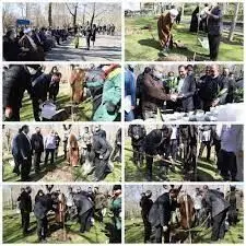 سرانه فضای سبز با جلب مشارکت بخش خصوصی افزایش می یابد