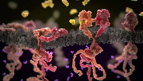 علائم سرطان ریه چیست؟  + عکس