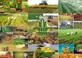 رشد بیش از 100 درصدی پرداخت تسهیلات قرض الحسنه در بانک کشاورزی