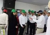 گام بزرگ دولت چهاردهم برای خاموشی مشعل‌ها و صیانت از سرمایه ملی

