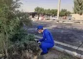 راه‌اندازی نرم‌افزار جامع جمع‌آوری پسماند خشک و بازسازی ۲۰ هزار مخزن زباله در قالب طرح بهاران خدمت