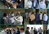  دیدار صمیمانه کارکنان منطقه۶ با دکتر امانی عضو شورای شهر