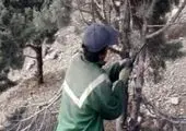 نخستین روز اجرای طرح خدمت در منطقه ۲۱ پایتخت اجرایی شد