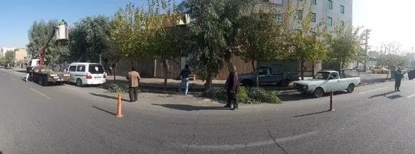 آغاز هرس  پاییزی درخت و درختچه های منطقه15 

