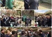 استفاده از ظرفیت دوست‌داران حیوانات در بهسازی نقاهتگاه سگ‌های بلاصاحب 

