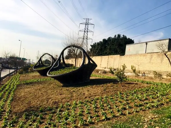 از کاشت نهال تا احداث فرش گل در راستای استقبال از نوروز99