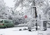 نظارت‌ها در مبادی ورودی کشور تشدید شد