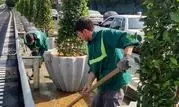 آغاز ساماندهی و زیباسازی خیابان شهید فرحزادی