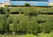 احمدی‌نژاد، اشتباه نظام بود