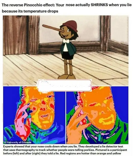 کوچک شدن دماغ افراد دروغ گو+عکس