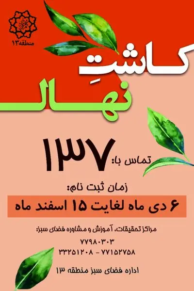 آغاز نهضت درختکاری در منطقه۱۳ با هدف توسعه فرهنگ محیط زیست