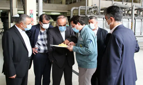 ظرفیت های پارسیان درخدمت تولید و اشتغال
