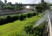  بازدید معاون خدمات شهری و محیط زیست شهرداری تهران از پروژه ها و فعالیت های منطقه ۱۵

