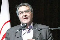 لزوم توجه بیشتر به واردات خودرو توسط دولت