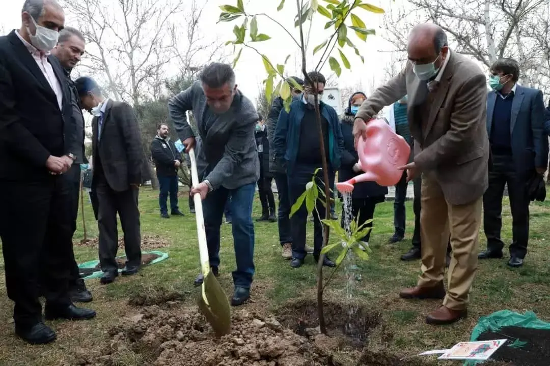 کاشت نهال دوستی به یاد شهدای دانش آموز در  منطقه2 