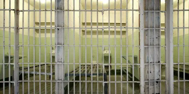 تاکید مدیرعامل ستاد دیه کشور بر لزوم اصلاح قانون چک