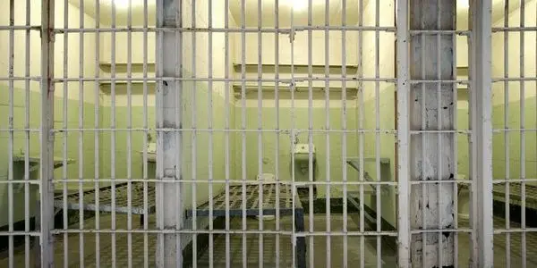 تاکید مدیرعامل ستاد دیه کشور بر لزوم اصلاح قانون چک