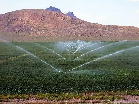 افزایش بهره‌وری مصرف آب کشاورزی استان مرکزی

