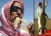 شوخی جالب بچه تمساح با فیل غول پیکر! +عکس