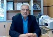 آمادگی بانک توسعه صادرات ایران برای تأمین مالی زنجیره تولید