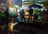 پوشش پل عابرپیاده بزرگراه شهید چمران نوسازی شد

