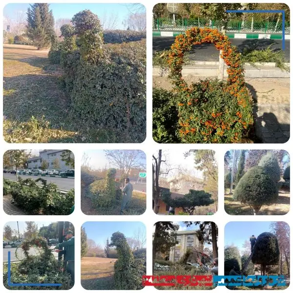 انجام عملیات هرس فرمی و طراحی احجام و المان‌های سبز در سطح منطقه ۳