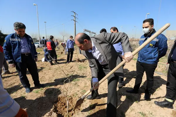 به مناسبت روز درختکاری ۴۰ اصله نهال در پایانه فتح آباد غرس شد
