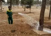 آغاز نصب تله های فرمونی در بوستان جنگلی سرخه حصار 

