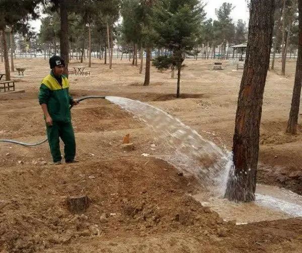 صیانت از درختان بوستان جنگلی سرخه حصار منطقه ۱۳