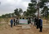 جمع آوری پسماند خشک  درمنطقه2 هوشمند می شود