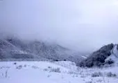 وزش باد شدید در جنوب کشور