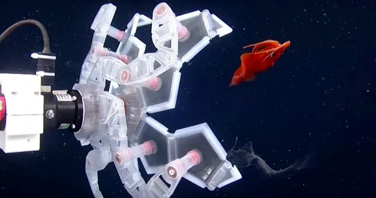 هنر اوریگامی به کمک دانشمندان آمد + عکس 