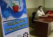 ۴ منطقه شهر اراک به عنوان مرکز اصلی تجمع سگ های بدون صاحب شناسایی شدند


