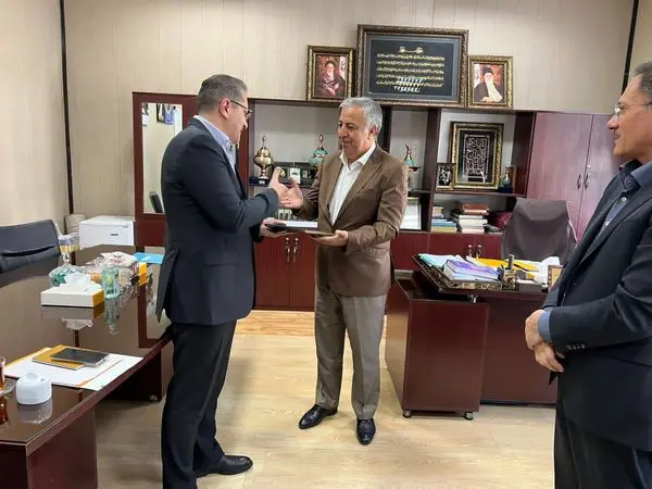 سرپرست اداره کل بررسی طرح ها بانک ملی ایران منصوب شد

