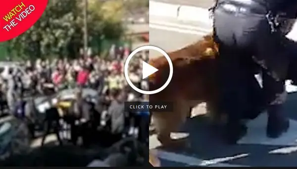 استفاده از پلیس ضد شورش برای پایان درگیری دانش آموزان! + عکس