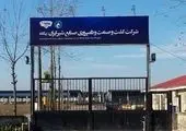 برداشت ۲۸ تن برنج در کشت و صنعت صنایع شیر ایران