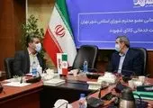 ضرورت ورود نهادهای امنیتی و انتظامی برای جلوگیری از سرقت اموال عمومی شهر