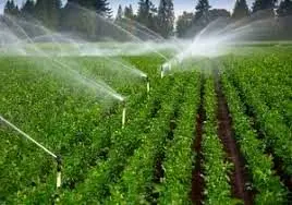 اختصاص مبلغ ۵۲۲ میلیارد ریال اعتبار برای تجهیز مزارع به سیستم های نوین آبیاری در سال گذشته