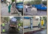 بازپیرایی و هرس بیش از 47 هزار اصله درخت در شمال شرق تهران

