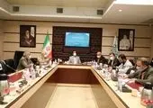 همایش پیاده روی و اسکیت سواری خانوادگی در بوستان ملت