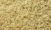 چرا برنج ایرانی گران شد؟