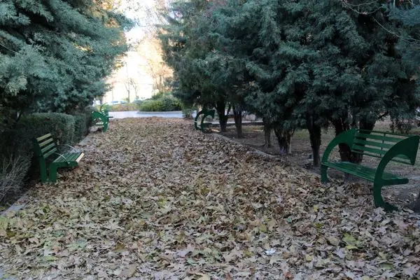 ایجاد گذر پاییزی ۴۵۰ مترمربعی با برگ‌های پاییزی در بوستان ها