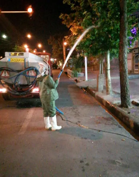 اجرای طرح ریشه کنی آفت سفید بالک در شمال شرق تهران

